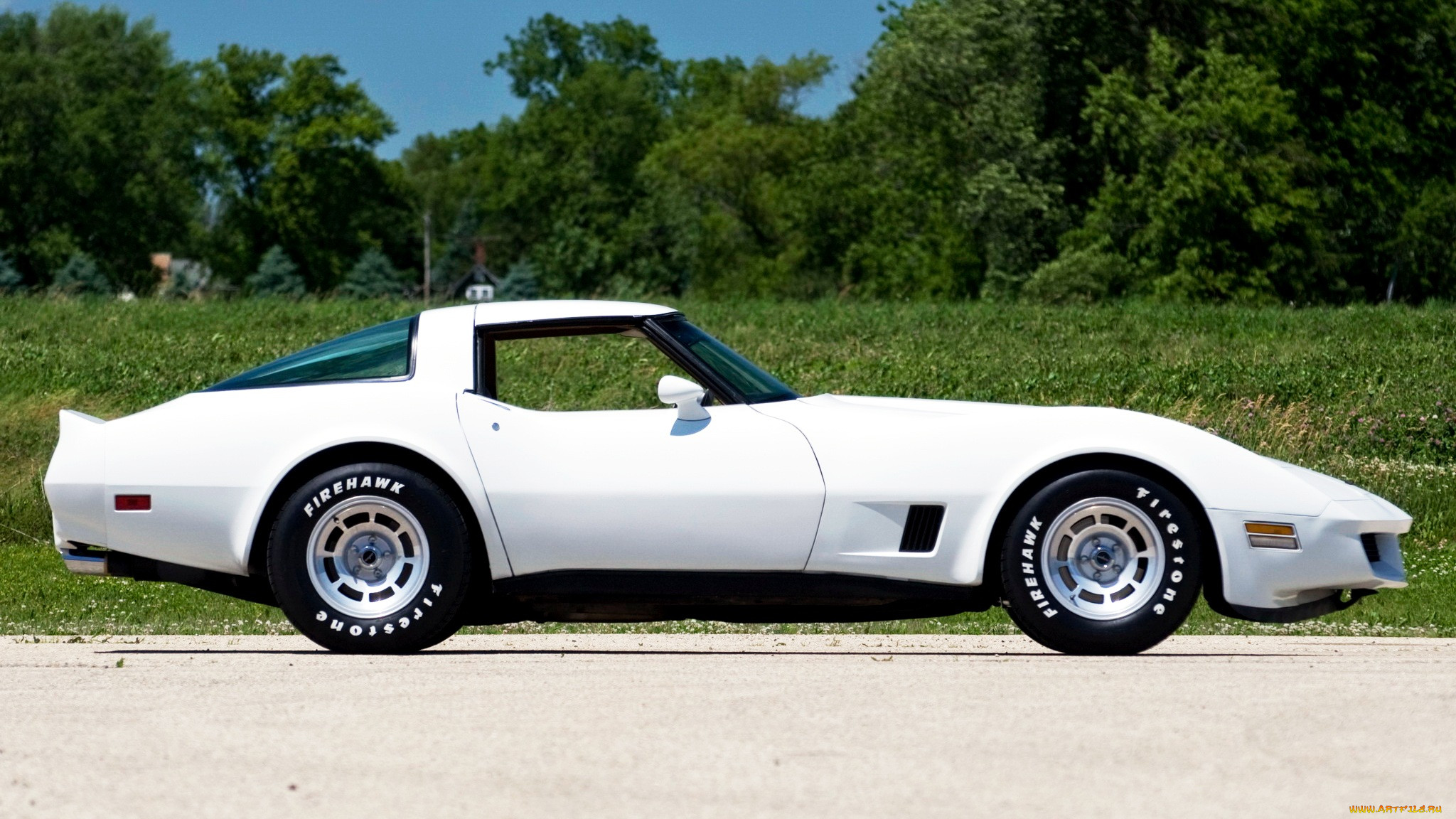 corvette, , , general, motors, 